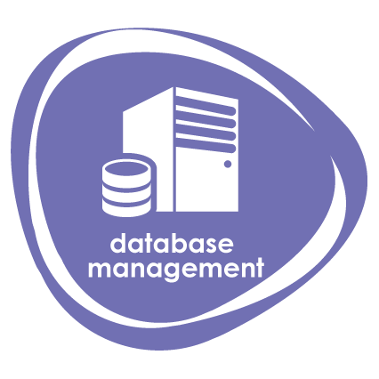 B2B Database